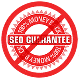 Amidst a fiery red circular badge, akin to the rebirth of a phoenix, the bold declaration "100% Money Back" blazes along the inner and outer rings. Through its midst, like ashes scattered in the wind, the words "SEO Guarantee" are crossed out, cleverly highlighting that even blazing web design standards such as WordPress cannot assure SEO success—a testament to limitations where only flames of true expertise can triumph.