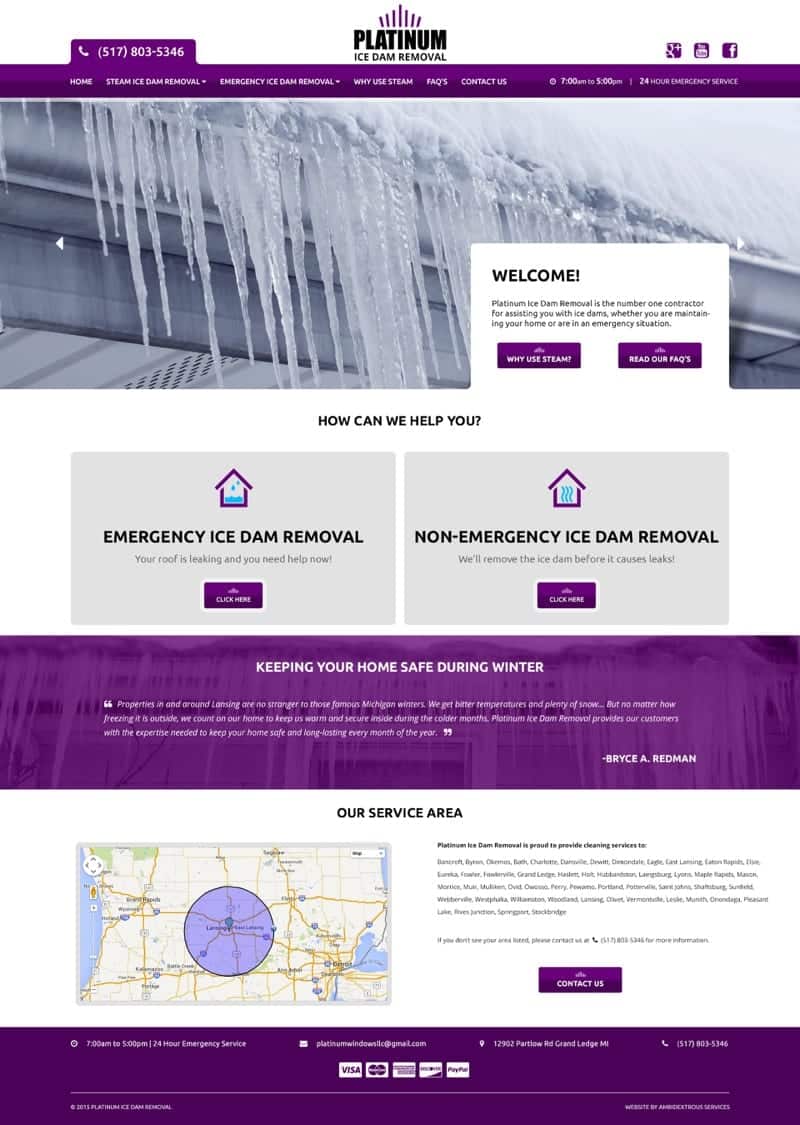 Platinum Ice Dam Removal