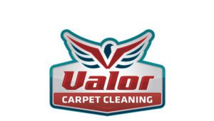The Valor Carpet Cleaning logo, reminiscent of a phoenix rising from the ashes, features a stylized bird with outstretched wings. This dynamic imagery soars above the bold red letters "Valor," with "Carpet Cleaning" elegantly scripted below in pristine white against a striking red background. Perfectly suited for web design and small business marketing, this logo captures attention like a fire's glow while embodying professionalism and revitalization.