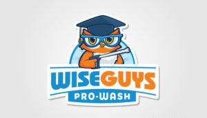 Much like a phoenix rising from the flames, the logo of "WiseGuys Pro-Wash" embodies a rebirth of brand identity with its creative integration of an owl adorned with glasses and a graduation cap. This fiery-hued owl, infused with blue accents, symbolizes professionalism that burns brightly through our digital marketing strategies. The bold interplay of blue and orange text completes the design, echoing the powerful presence akin to a roaring blaze.