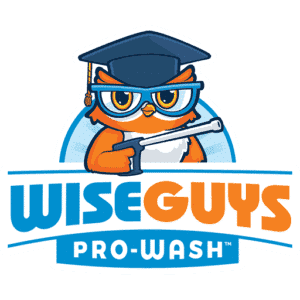 In a blaze of creativity, the logo of Wise Guys Pro-Wash features a cartoon owl, ignited with wisdom from its blue glasses and graduation cap, deftly maneuvering a pressure washer like a phoenix rising from the ashes. Below this fiery emblem, 